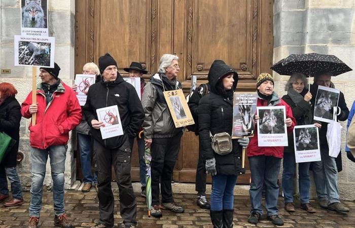 manifestanti riuniti per “fermare il massacro dei vivi”