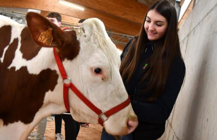 Orchamps-Vennes. Finale di reparto giovani marcatori. Un successo notevole