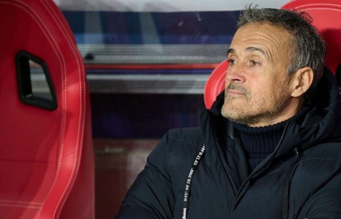 Ligue 1: con il PSG, Luis Enrique sta vivendo la stagione “migliore” della sua carriera