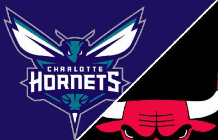 Bulls 109-95 Hornets (13 dicembre 2024) Riepilogo del gioco