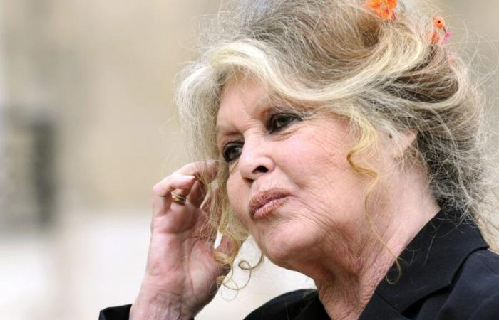 Brigitte Bardot infastidita da un'interruzione di rete nella sua seconda casa a Saint-Tropez