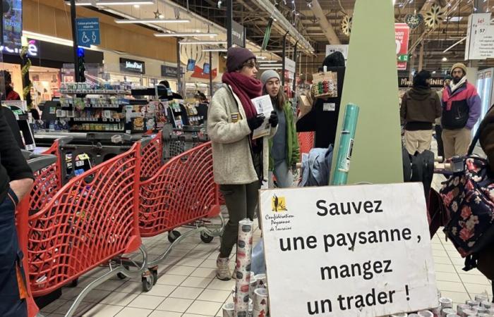 la Confederazione dei contadini blocca il negozio Auchan a Saint-Cyr-sur-Loire