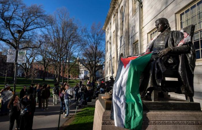 Harvard: Bilancio di un anno di antisemitismo dopo il 7 ottobre – Gli accademici