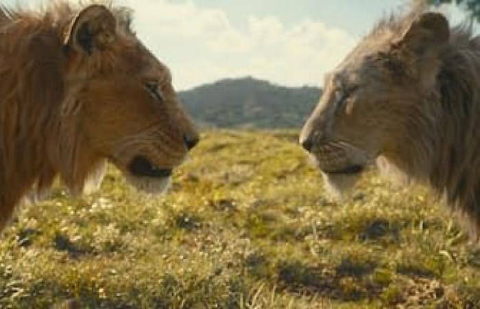 “Mufasa: Il Re Leone”: “Gli animatori di Montreal hanno lavorato così duramente al film” – Barry Jenkins