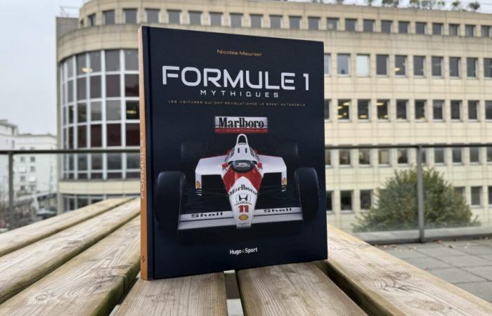 Ti piace la Formula 1? Amerai sicuramente questo libro…