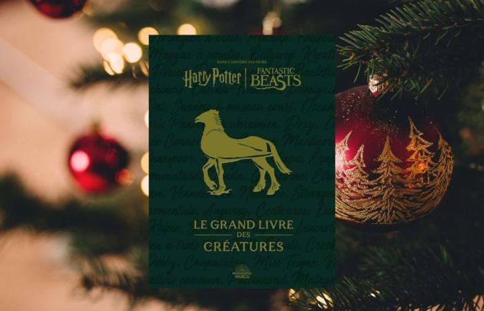 6 idee regalo per i fan di Harry Potter