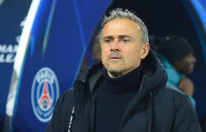 PSG – OL: Luis Enrique lancia fiori al Lione e risponde alla voce Cherki