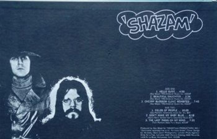 I nostri 50 album preferiti degli anni '70: 1. The Move – Shazam (1970)