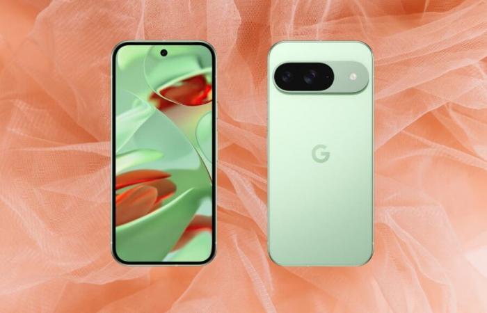 Il Google Pixel 9 vede il suo prezzo scendere e sarà sotto l’albero in tempo