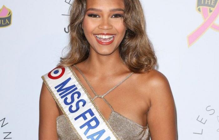 ESCLUSI Basta studi… 2 anni dopo essere stata eletta Miss Francia 2023, Indira Ampiot cambia vita!