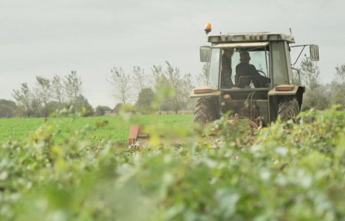 Una rete familiare marocchina smantellata nel Lot-et-Garonne