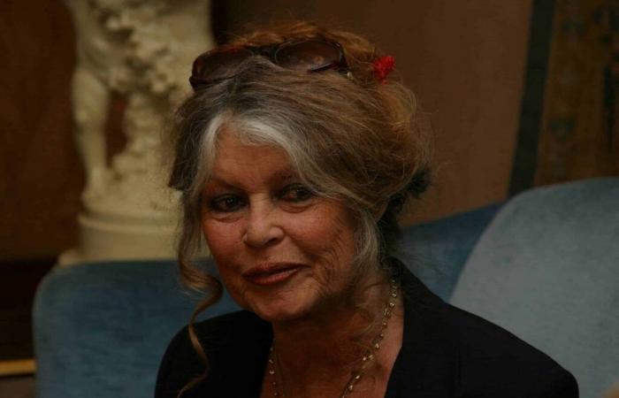 Brigitte Bardot perde il controllo nella sua casa del Var: “Per questo m…”