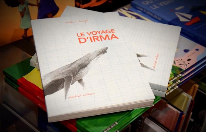 T. rex, chipolatas, prout e road trip: 10 libri per bambini da Bruxelles belli come camion, da proporre ai vostri bambini dai 3 ai 15 anni