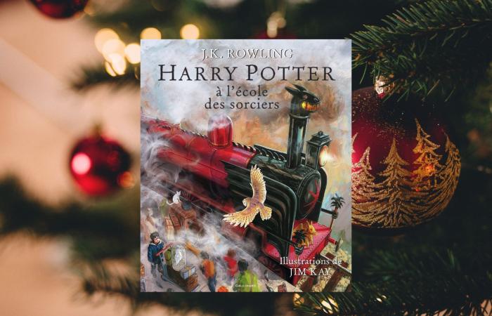 6 idee regalo per i fan di Harry Potter