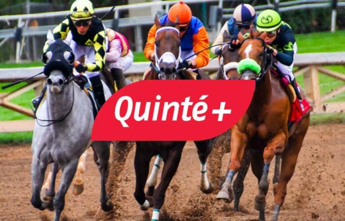 Pronostico Quinté+ per domenica 15 dicembre a Vincennes: Premio Jean Dumouch