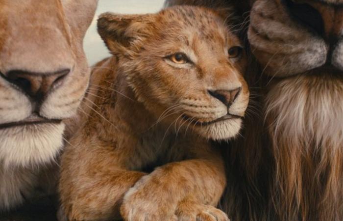 Dietro le quinte di Mufasa: Il Re Leone, l’ultimo grande evento cinematografico dell’anno: “Nessuno nasce bello, nessuno nasce cattivo”