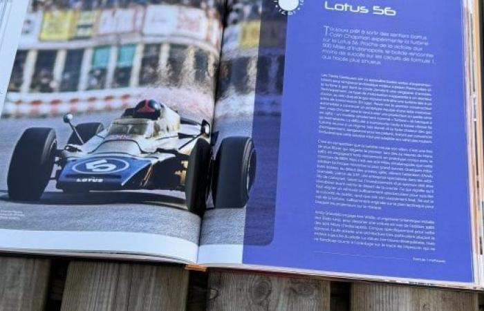 Ti piace la Formula 1? Amerai sicuramente questo libro…