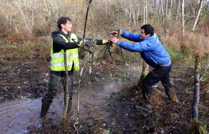 Capvern. Questa zona umida riemerse dopo dieci anni di lavoro