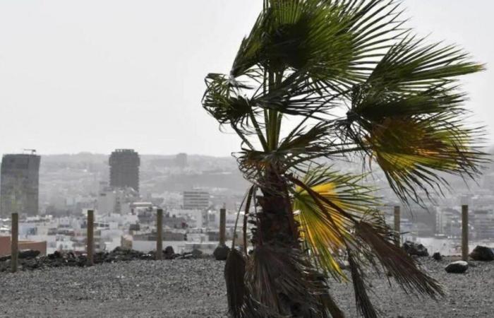 L’Aemet avverte dell’arrivo della tempesta Dorothea