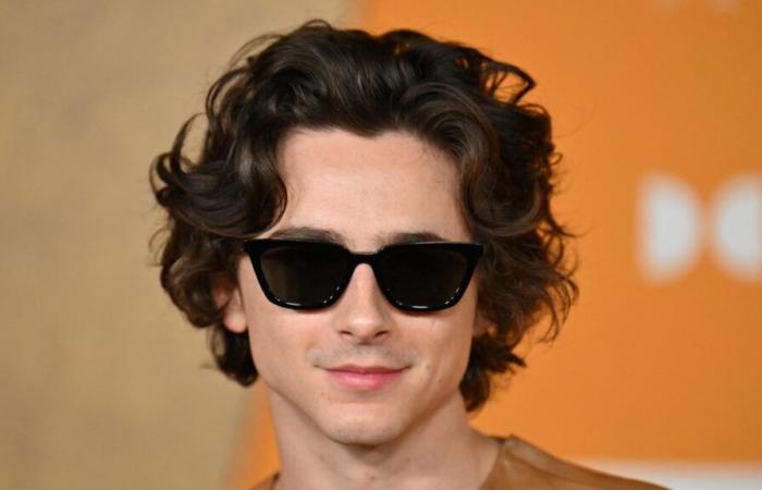 Timothée Chalamet appare con un look completamente nuovo alla première di “A Perfect Stranger”