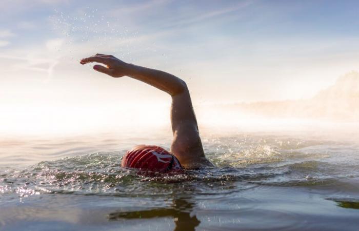 Una nuova generazione di robot acquatici infrange i record di velocità nel nuoto