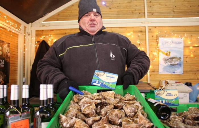 A Meaux, nella Seine-et-Marne, l'artigianato è al centro del mercatino di Natale