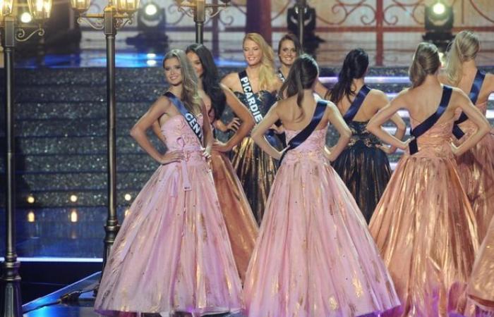 Jean-Pierre Foucault, Kev Adams, Patrick Bruel, Camille Cerf: nel dicembre 2014, si sono svolte a Orléans le elezioni di Miss Francia