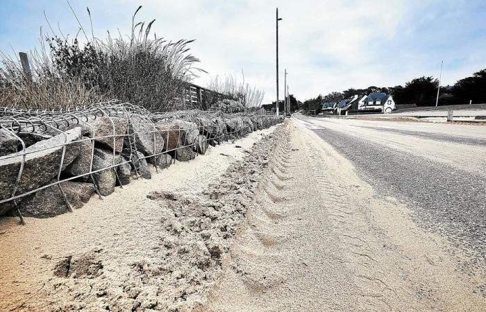 Con il passaggio di Darragh, le dune delle Sabbie d'Oro si spostarono [En images]