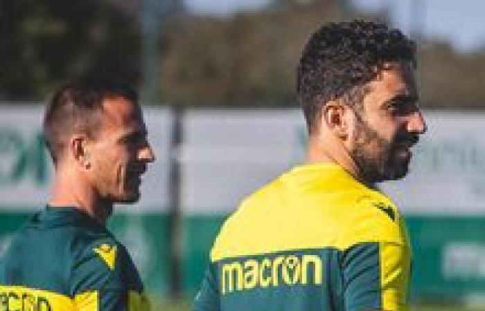 Francisco Trincão: il giocatore modello fuori dal campo che ha aiutato lo Sporting di João Pereira a tornare alla vittoria – Estrelas