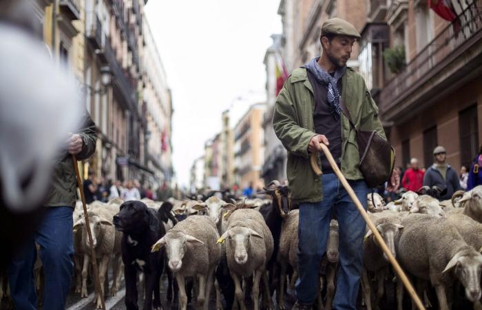 Nasce a Ginevra la prima conferenza europea sui beni comuni