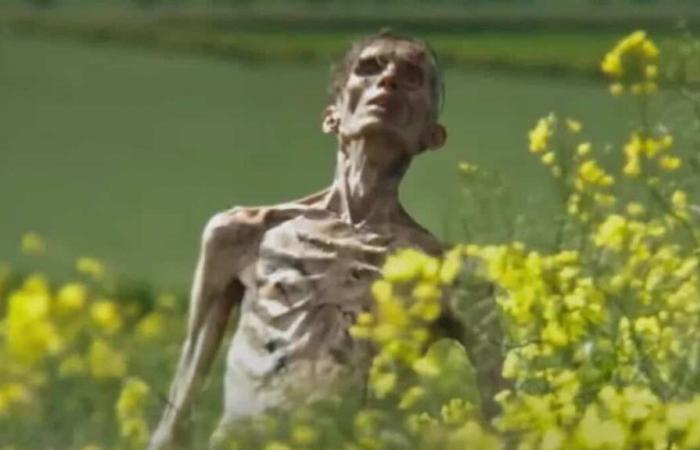 “28 Anni Dopo”: il misterioso zombie nel trailer non sarebbe Cillian Murphy