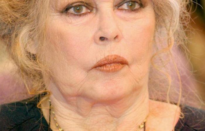 “Non poteva andare peggio”: Brigitte Bardot isolata da un guasto a Saint-Tropez, niente va bene per i suoi animali