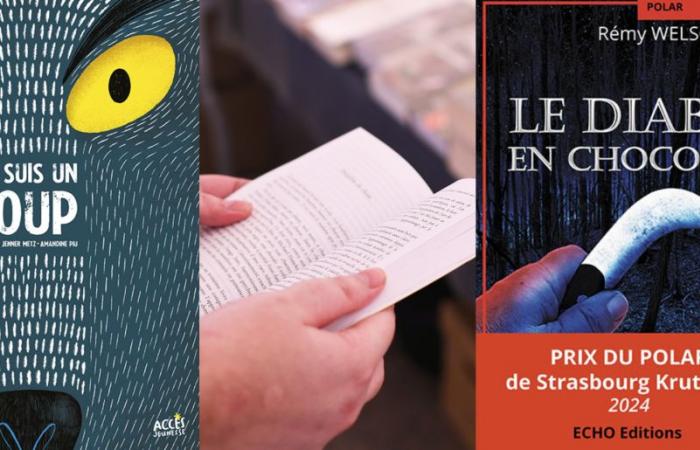 13 libri 100% strasburghesi e alsaziani da regalare a Natale