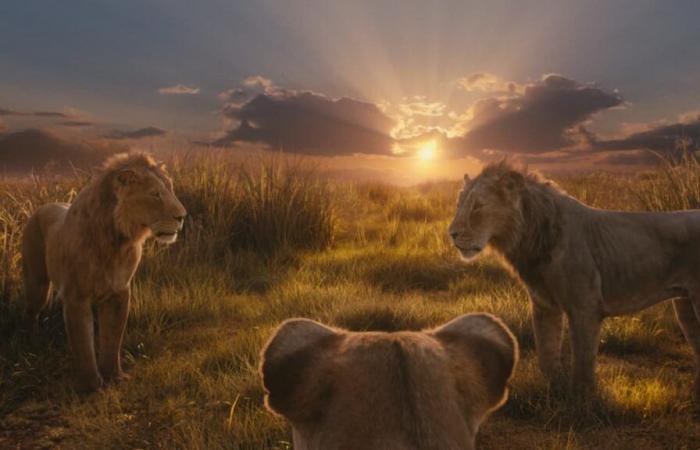 “Mufasa: Il Re Leone”: “Gli animatori di Montreal hanno lavorato così duramente al film” – Barry Jenkins