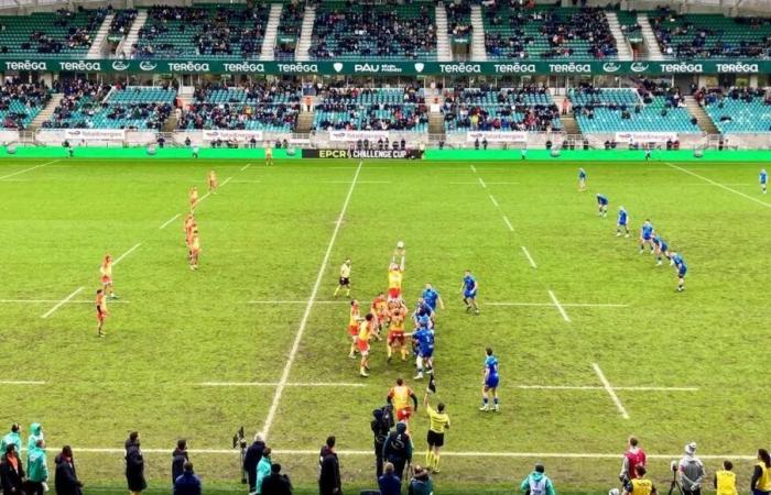 Rugby: sospesa per maltempo la partita della Challenge Cup tra i Lions e la Sezione Paloise