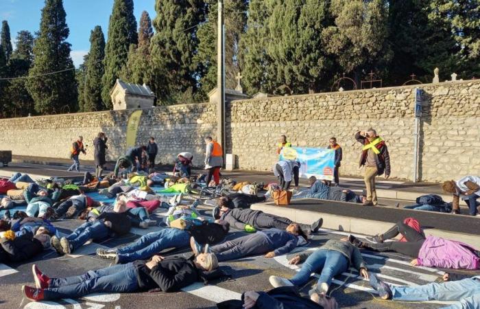 Pedoni stesi sulla strada a Montpellier per “allertare” dopo la morte di una donna settantenne investita da un’auto