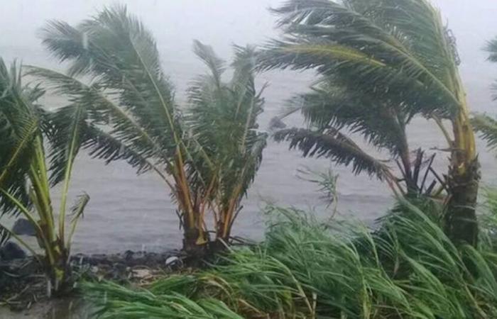 a Mayotte, in allerta viola, i residenti barricati affrontano questo sabato il ciclone Chido – Libération