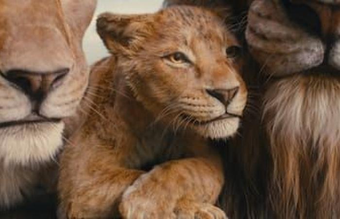 “Mufasa: Il Re Leone”: “Gli animatori di Montreal hanno lavorato così duramente al film” – Barry Jenkins