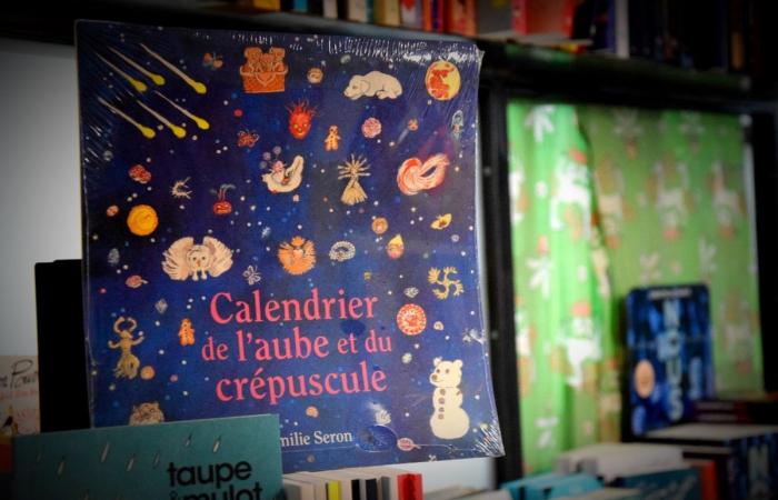 T. rex, chipolatas, prout e road trip: 10 libri per bambini da Bruxelles belli come camion, da proporre ai vostri bambini dai 3 ai 15 anni