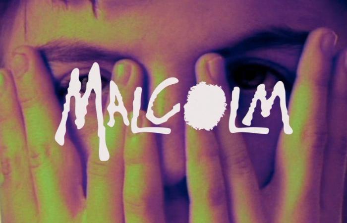 20 anni dopo, la serie cult “Malcolm” si prepara a fare il suo ritorno con parte del suo cast originale