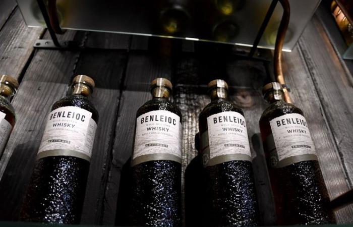 Pranzo di Natale: la distilleria Bows a Laure-Minervois, dal seme all’etichetta