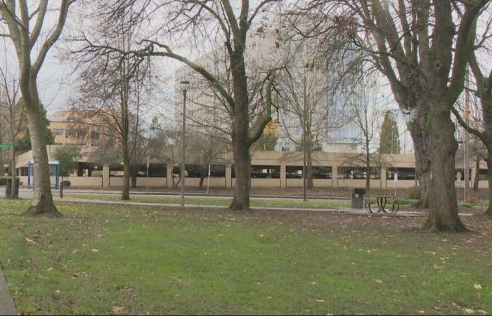 Il parco di North Portland riceve supporto per miglioramenti della sicurezza dalla città