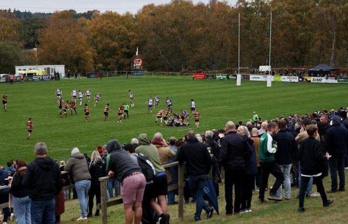 Rugby. In Inghilterra, una partita è stata interrotta dopo che un arbitro si è infortunato. Sport