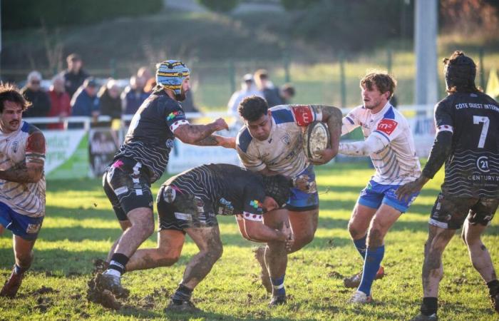 Rugby (Federale 1). Battuto da Gujan-Mestras, Layrac non può più vincere