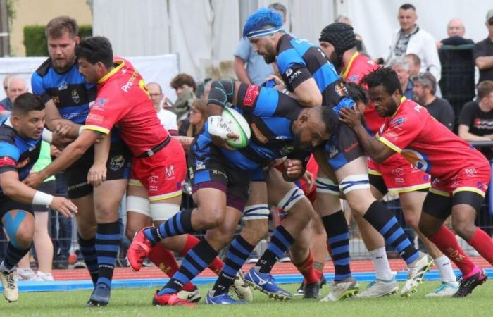 Rugby – Grande successo per Sarlat prima delle vacanze in Federal 1. Vince anche Belvès.