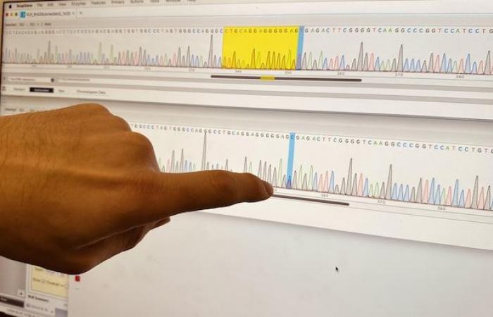 La tecnologia genomica migliora il trattamento delle malattie a Calgary