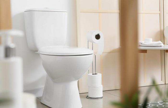 Sì, puoi bere perfettamente l’acqua della toilette