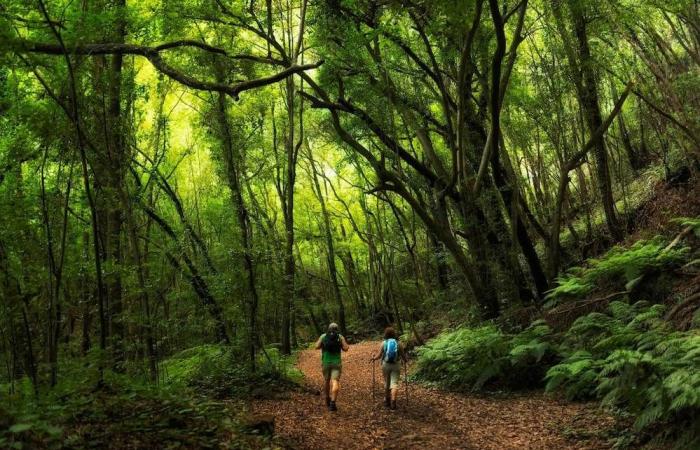 Susana Machin. “Abbiamo molta paura che la nuova strategia turistica del Cabildo de La Palma sarà un viaggio verso il nulla”