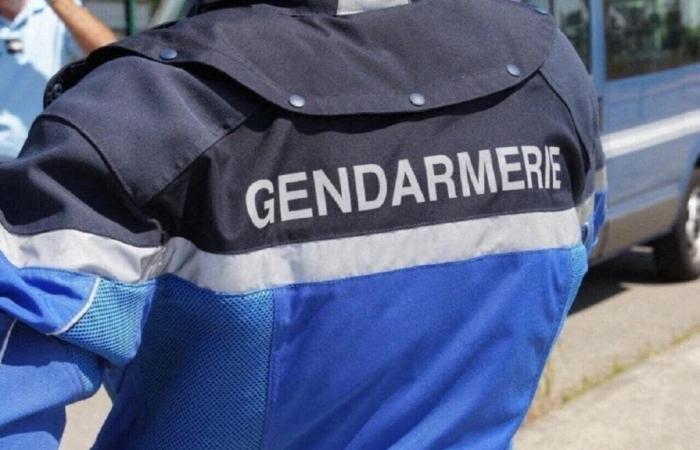 Nella Sarthe lancia insulti razzisti, picchia un 81enne e aggredisce la polizia