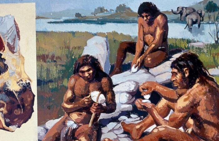 I Neanderthal hanno vissuto con noi per 7.000 anni